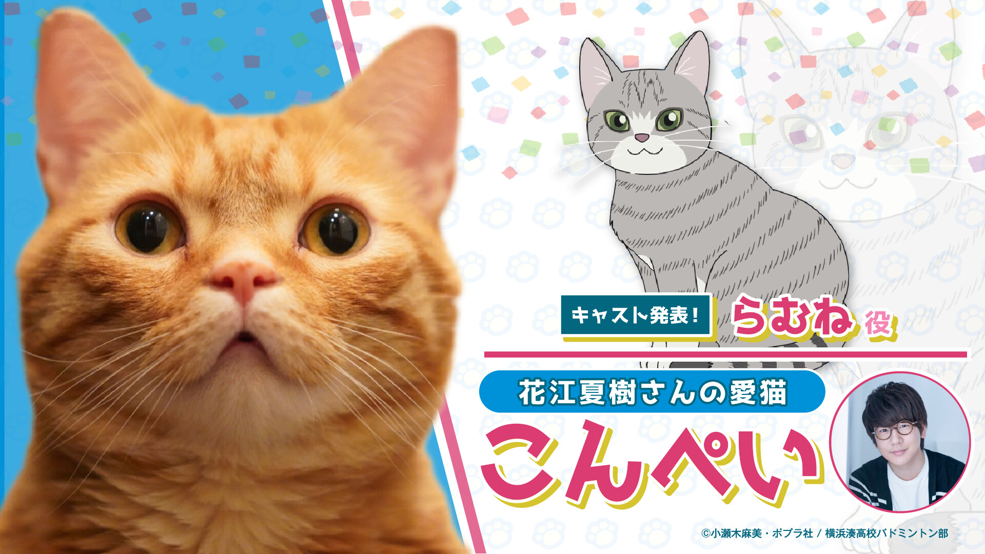 花江夏樹愛貓聲優出道 將與主人一同出演羽球動畫 Love All Play 藤本樹我的精神病人 Gank 電玩誌 Gank